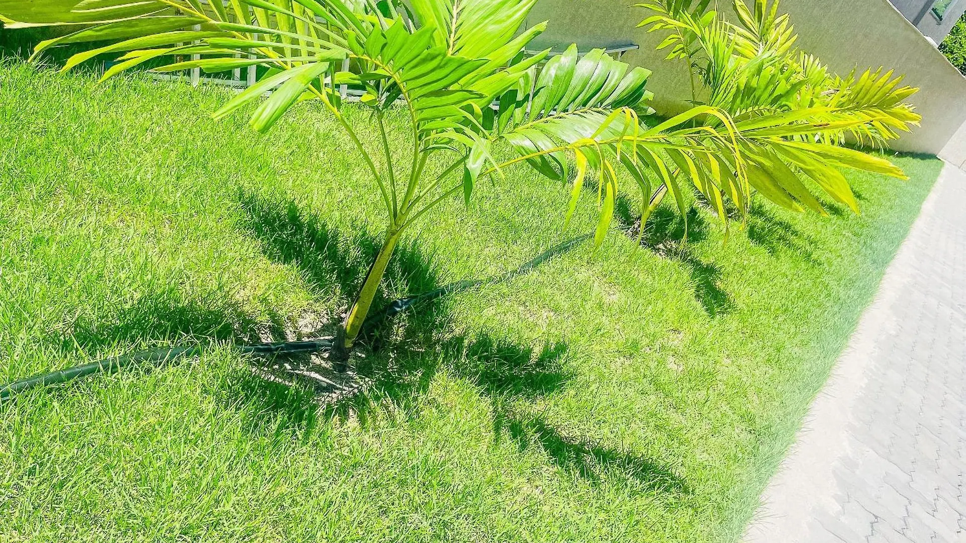 Casas Duplex Todas Com 3 Suiites Ambas Com Ar Condicionado, Varanda, Internet E Churrasqueira Privativa No Residencial Jardins De Taperpua 2 Codominio A Poucos Metros Da Praia De Taperapua, Com Piscina E Area Gourmet. Porto Seguro 0*,